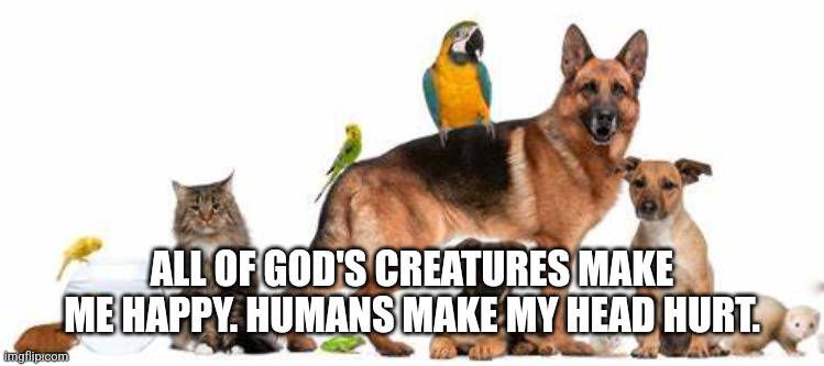 Animals Make Me Happy | ALL OF GOD'S CREATURES MAKE ME HAPPY. HUMANS MAKE MY HEAD HURT. | image tagged in animals,love,pets | made w/ Imgflip meme maker