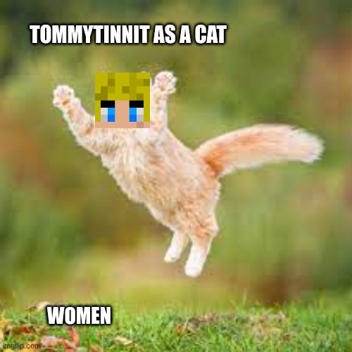 Cat Tommyinnit | TOMMYTINNIT AS A CAT; WOMEN | image tagged in tommyinnit,dsmp,cat | made w/ Imgflip meme maker