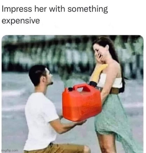 image tagged in funny memes | made w/ Imgflip meme maker