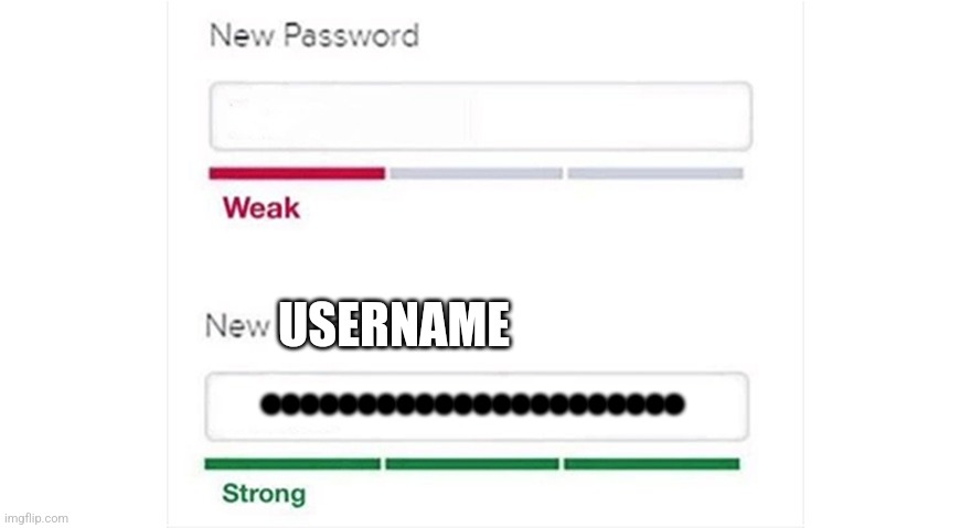 Weak strong password | USERNAME •••••••••••••••••••••• | image tagged in weak strong password | made w/ Imgflip meme maker