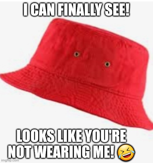Hat with eyes | I CAN FINALLY SEE! LOOKS LIKE YOU'RE NOT WEARING ME! 🤣 | image tagged in hats | made w/ Imgflip meme maker