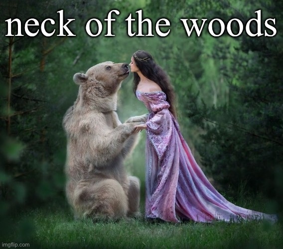 neck of the woods | made w/ Imgflip meme maker