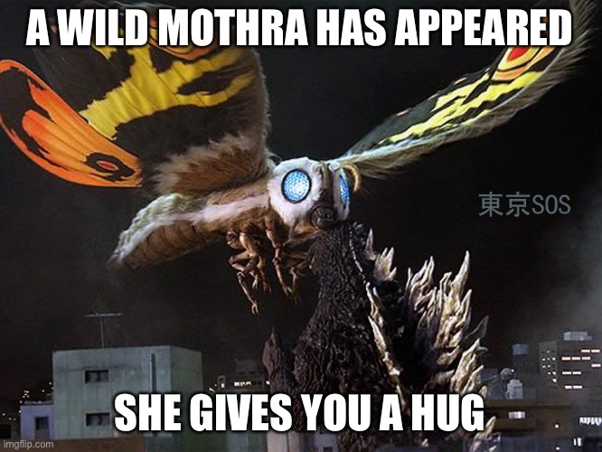Mothra Vs Godzilla TOKYO S.O.S | A WILD MOTHRA HAS APPEARED SHE GIVES YOU A HUG | image tagged in mothra vs godzilla tokyo s o s | made w/ Imgflip meme maker