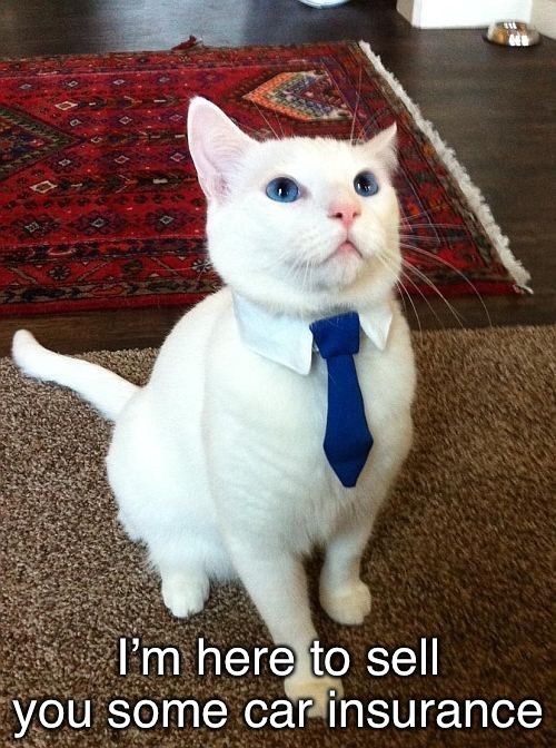 I’m here to sell you some car insurance | made w/ Imgflip meme maker