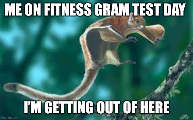 Fitness gram day | ME ON FITNESS GRAM TEST DAY; I’M GETTING OUT OF HERE | image tagged in fun,squirrels | made w/ Imgflip meme maker