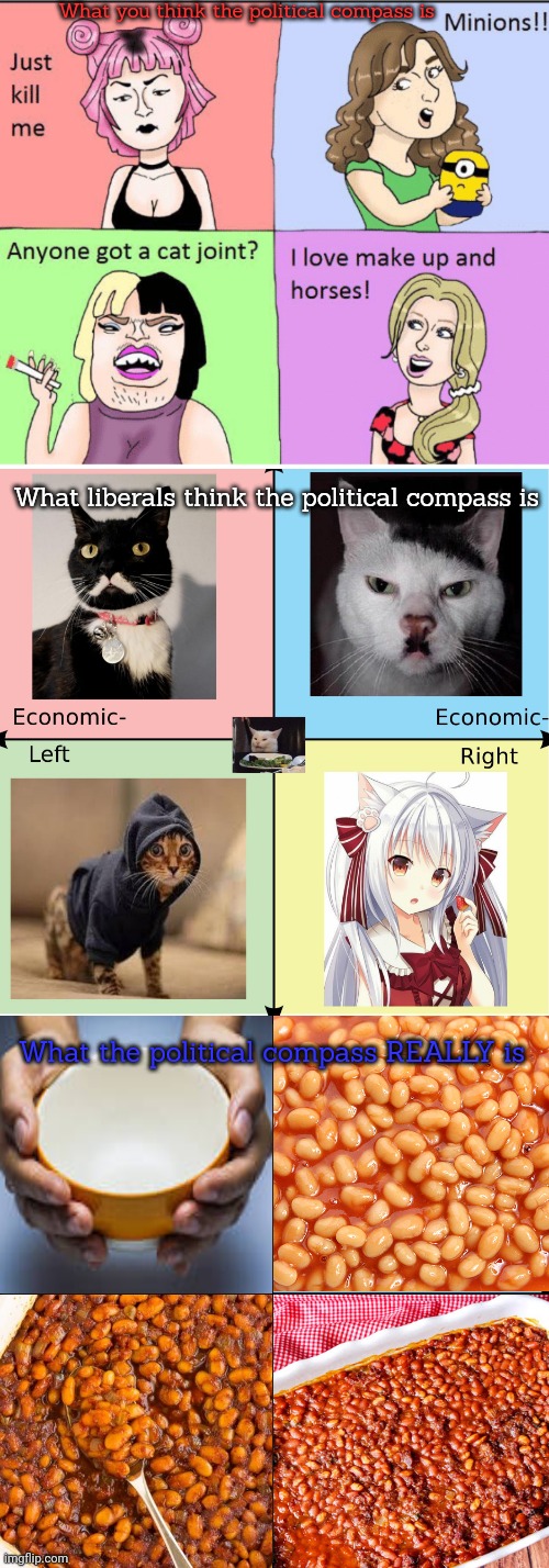 Important political commentary | What you think the political compass is; What liberals think the political compass is; What the political compass REALLY is | image tagged in political compass,beans,well actually,that wasnt really,communism | made w/ Imgflip meme maker