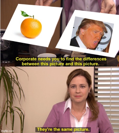Aren't they? | image tagged in memes,they're the same picture | made w/ Imgflip meme maker