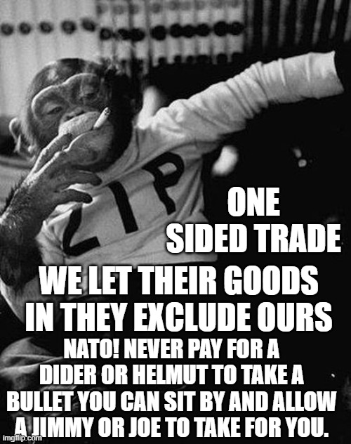 Zip the Smoking Chimp | WE LET THEIR GOODS IN THEY EXCLUDE OURS ONE SIDED TRADE NATO! NEVER PAY FOR A DIDER OR HELMUT TO TAKE A BULLET YOU CAN SIT BY AND ALLOW A JI | image tagged in zip the smoking chimp | made w/ Imgflip meme maker
