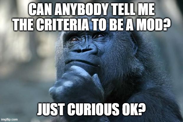 Deep Thoughts | CAN ANYBODY TELL ME THE CRITERIA TO BE A MOD? JUST CURIOUS OK? | image tagged in deep thoughts | made w/ Imgflip meme maker