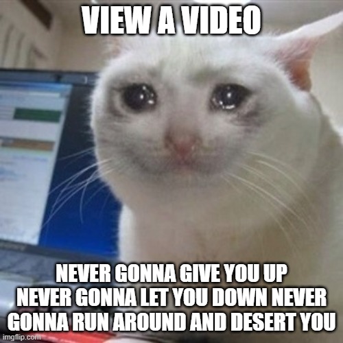 rickrolled cat | VIEW A VIDEO; NEVER GONNA GIVE YOU UP NEVER GONNA LET YOU DOWN NEVER GONNA RUN AROUND AND DESERT YOU | image tagged in crying cat | made w/ Imgflip meme maker