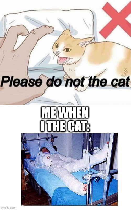i tried to the cat... | ME WHEN I THE CAT: | image tagged in please do not the cat | made w/ Imgflip meme maker