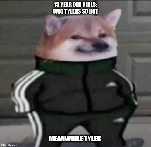 Slav doge |  13 YEAR OLD GIRLS: OMG TYLERS SO HOT; MEANWHILE TYLER | image tagged in slav doge | made w/ Imgflip meme maker