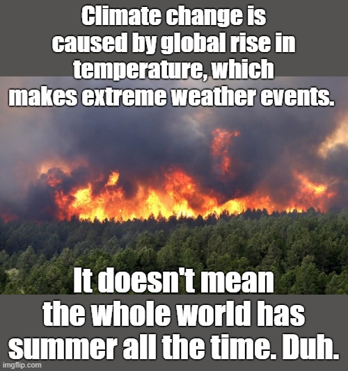 No denying change in our weather | Climate change is caused by global rise in temperature, which makes extreme weather events. It doesn't mean the whole world has summer all the time. Duh. | image tagged in climate change is real,living in it now,extreme fires,extreme tornados,extreme snow rain hail,for your grandkids | made w/ Imgflip meme maker