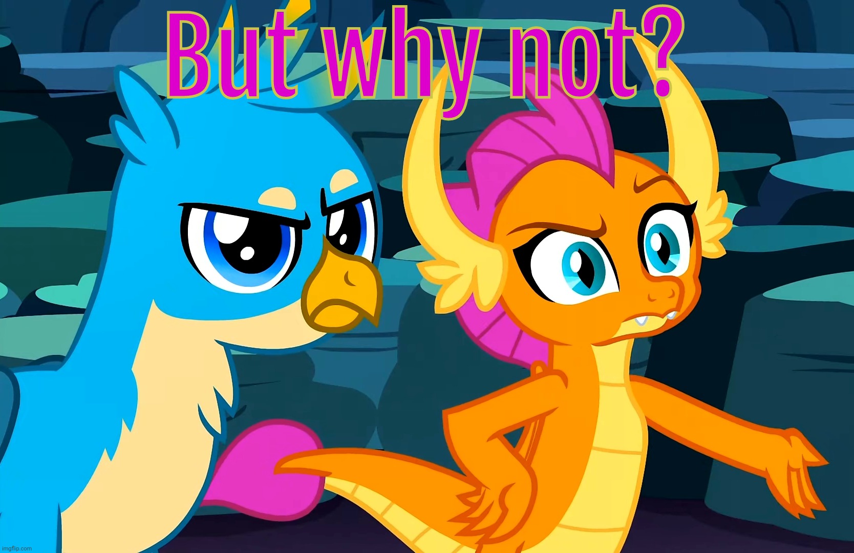 You Did This (MLP) | But why not? | image tagged in you did this mlp | made w/ Imgflip meme maker