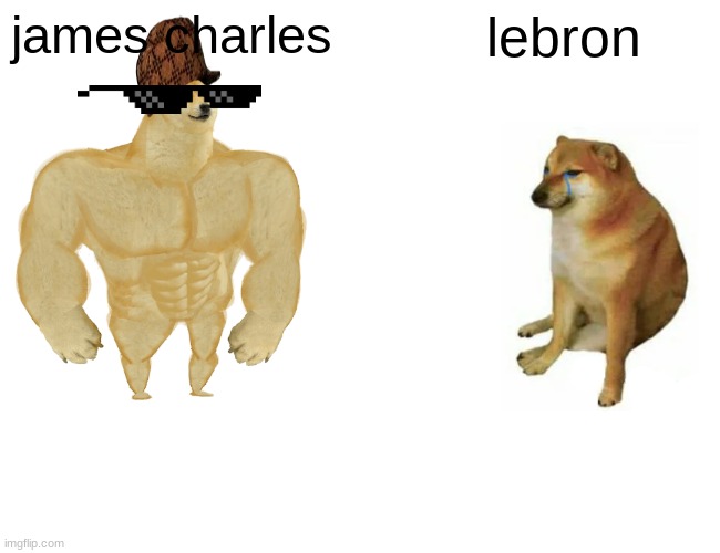 Buff Doge vs. Cheems | james charles; lebron | image tagged in memes,buff doge vs cheems | made w/ Imgflip meme maker