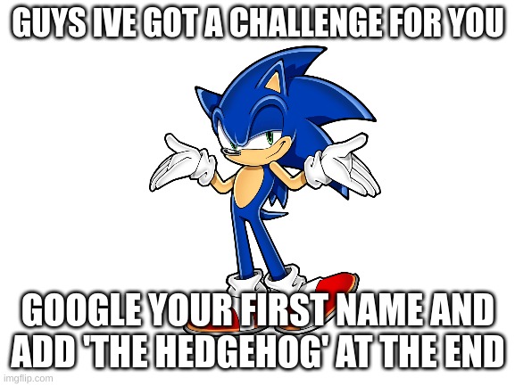 Blank White Template |  GUYS IVE GOT A CHALLENGE FOR YOU; GOOGLE YOUR FIRST NAME AND ADD 'THE HEDGEHOG' AT THE END | image tagged in blank white template | made w/ Imgflip meme maker