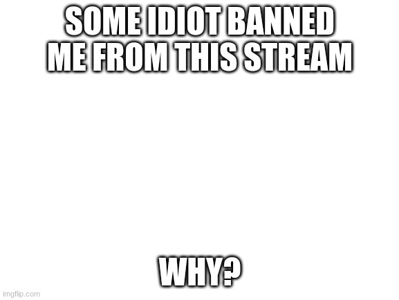 Blank White Template |  SOME IDIOT BANNED ME FROM THIS STREAM; WHY? | image tagged in blank white template | made w/ Imgflip meme maker