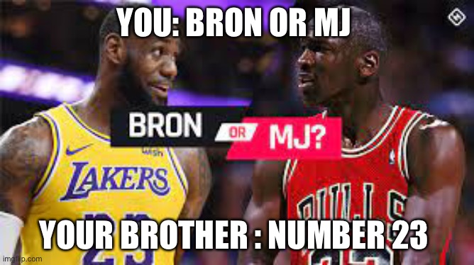 YOU: BRON OR MJ; YOUR BROTHER : NUMBER 23 | image tagged in michael jordan,lebron james,nba | made w/ Imgflip meme maker