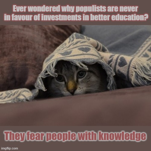 This #lolcat wonders why populists are against invenstments in better education | Ever wondered why populists are never 
in favour of investments in better education? They fear people with knowledge | image tagged in lolcat,think about it,populism,education,fear | made w/ Imgflip meme maker