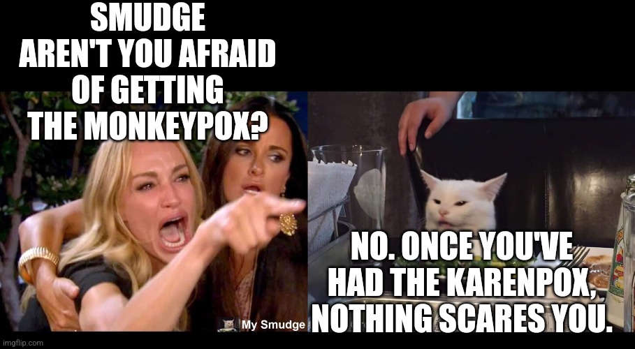 SMUDGE AREN'T YOU AFRAID OF GETTING THE MONKEYPOX? NO. ONCE YOU'VE HAD THE KARENPOX, NOTHING SCARES YOU. | image tagged in smudge the cat,woman yelling at cat | made w/ Imgflip meme maker