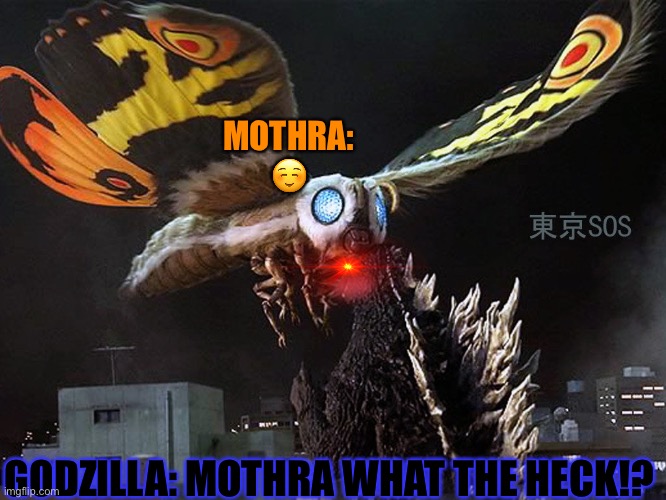 DONT JUDGE ME | MOTHRA: ☺️; GODZILLA: MOTHRA WHAT THE HECK!? | image tagged in mothra vs godzilla tokyo s o s,deal with it | made w/ Imgflip meme maker