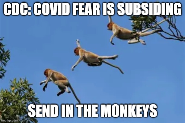covid fear subsiding | CDC: COVID FEAR IS SUBSIDING; SEND IN THE MONKEYS | image tagged in monkeypox covid fear | made w/ Imgflip meme maker