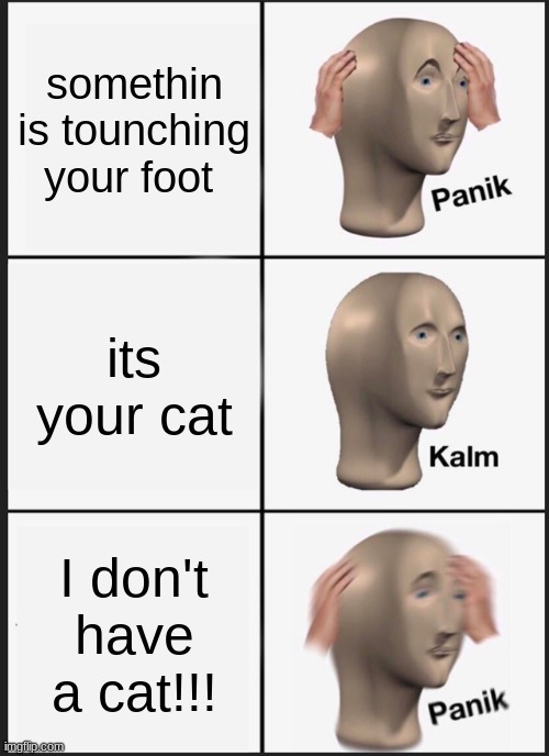 at night | somethin is tounching your foot; its your cat; I don't have a cat!!! | image tagged in memes,panik kalm panik | made w/ Imgflip meme maker