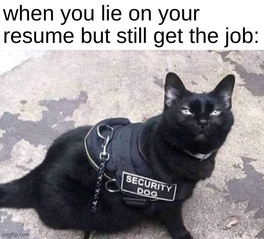 found this and love it | image tagged in cats,you had one job,ok | made w/ Imgflip meme maker