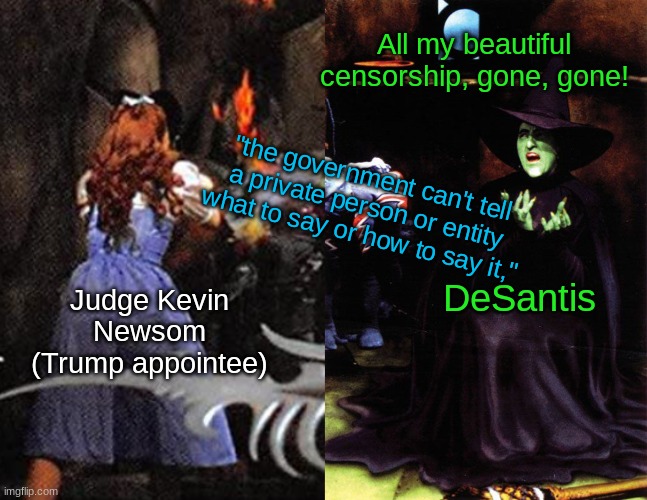 Censorship Blocked in Florida | All my beautiful censorship, gone, gone! "the government can't tell a private person or entity what to say or how to say it,"; DeSantis; Judge Kevin Newsom
(Trump appointee) | image tagged in wicked witch melting,court,judge,gop,censorship,florida | made w/ Imgflip meme maker