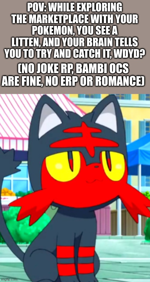POV: WHILE EXPLORING THE MARKETPLACE WITH YOUR POKEMON, YOU SEE A LITTEN, AND YOUR BRAIN TELLS YOU TO TRY AND CATCH IT, WDYD? (NO JOKE RP, BAMBI OCS ARE FINE, NO ERP OR ROMANCE) | image tagged in pokemon | made w/ Imgflip meme maker