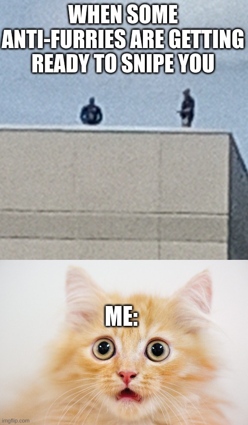 I saw this on the roof of my school and had to make a meme out of it. | WHEN SOME ANTI-FURRIES ARE GETTING READY TO SNIPE YOU; ME: | image tagged in fly hacks,sniper | made w/ Imgflip meme maker