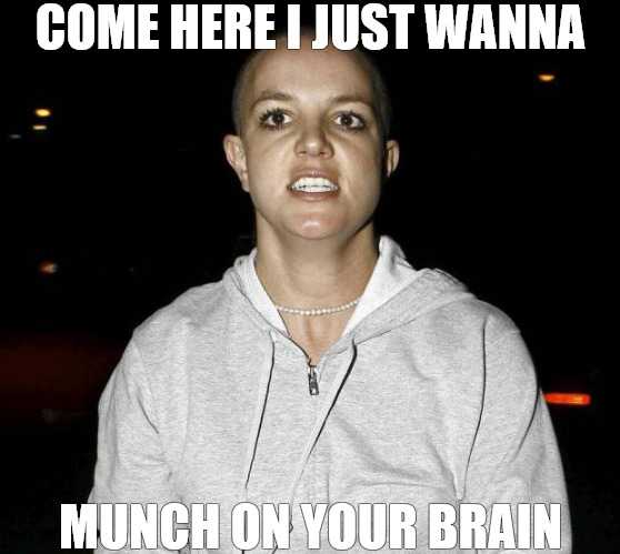 MORE BRAINS | COME HERE I JUST WANNA; MUNCH ON YOUR BRAIN | image tagged in crazy bald britney spears | made w/ Imgflip meme maker