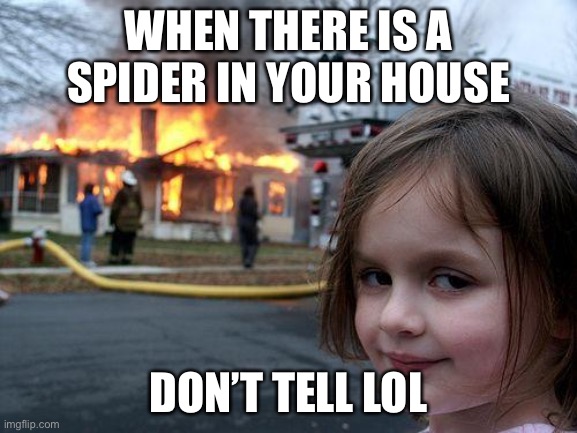 Disaster Girl | WHEN THERE IS A SPIDER IN YOUR HOUSE; DON’T TELL LOL | image tagged in memes,disaster girl | made w/ Imgflip meme maker