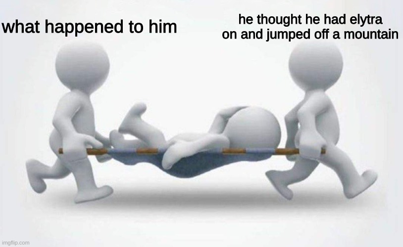 What happened to him? | what happened to him; he thought he had elytra on and jumped off a mountain | image tagged in what happened to him | made w/ Imgflip meme maker