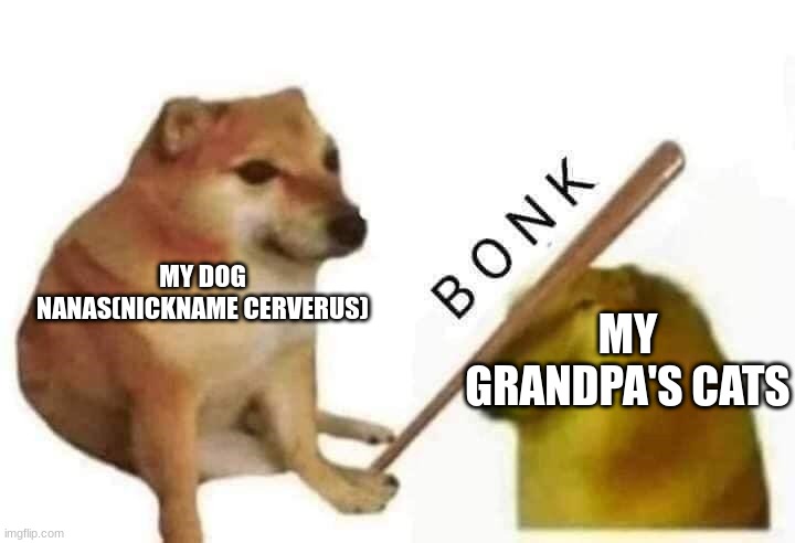 Doge bonk | MY DOG NANAS(NICKNAME CERVERUS); MY GRANDPA'S CATS | image tagged in doge bonk | made w/ Imgflip meme maker