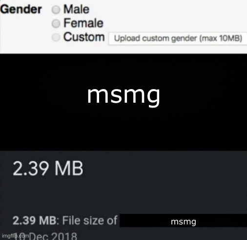 custom gender | msmg; msmg | image tagged in custom gender | made w/ Imgflip meme maker
