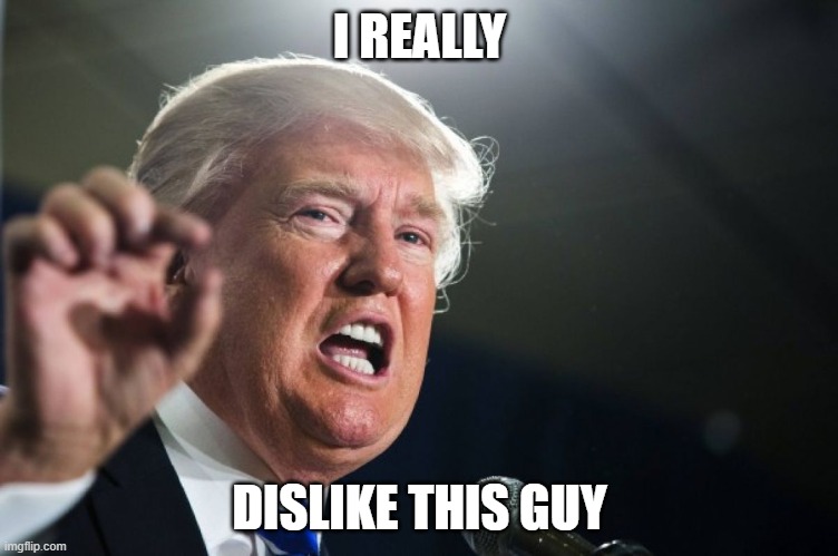 donald trump | I REALLY; DISLIKE THIS GUY | image tagged in donald trump | made w/ Imgflip meme maker