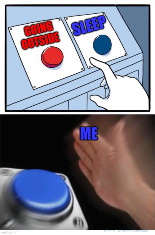 two buttons 1 blue | SLEEP; GOING OUTSIDE; ME | image tagged in two buttons 1 blue | made w/ Imgflip meme maker