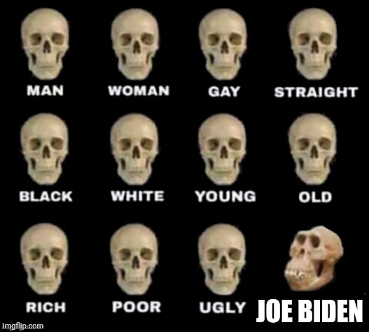 idiot skull | JOE BIDEN | image tagged in idiot skull | made w/ Imgflip meme maker