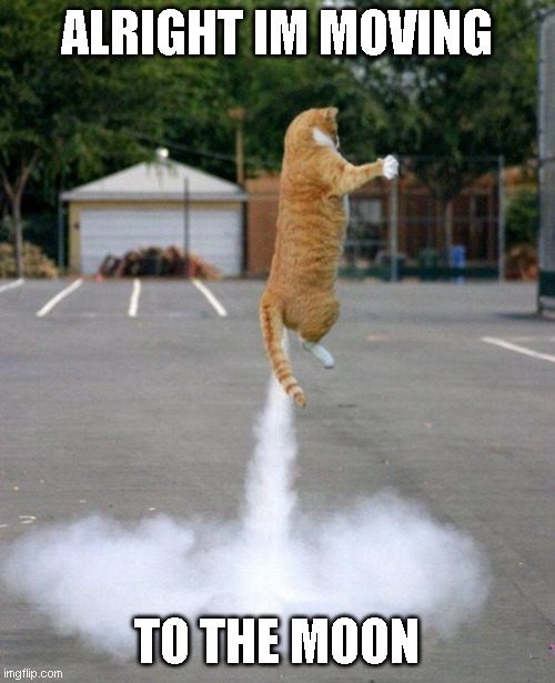 Rocket cat | ALRIGHT IM MOVING TO THE MOON | image tagged in rocket cat | made w/ Imgflip meme maker