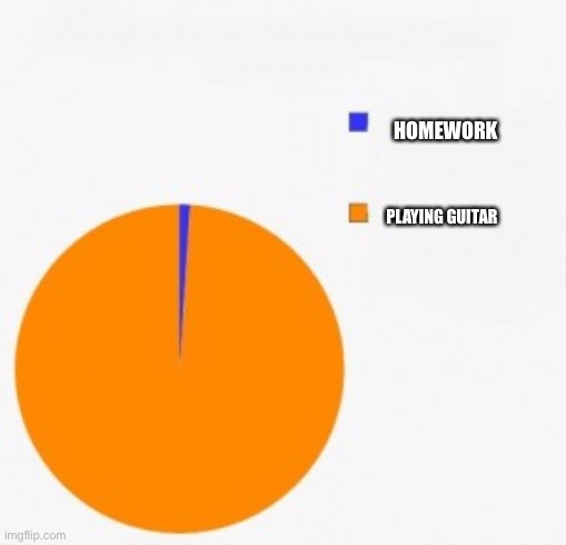Pie chart | HOMEWORK; PLAYING GUITAR | image tagged in pie chart/ percentage | made w/ Imgflip meme maker