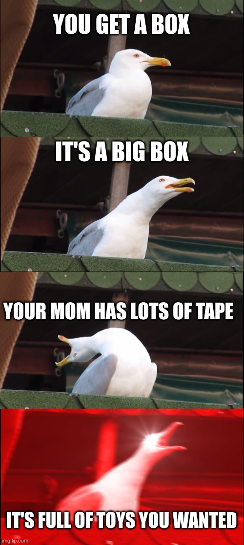 Inhaling Seagull |  YOU GET A BOX; IT'S A BIG BOX; YOUR MOM HAS LOTS OF TAPE; IT'S FULL OF TOYS YOU WANTED | image tagged in memes,inhaling seagull | made w/ Imgflip meme maker