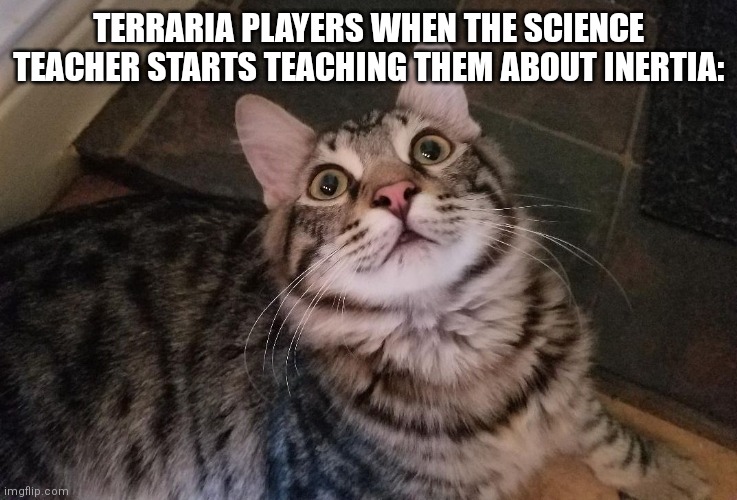 Old ones army | TERRARIA PLAYERS WHEN THE SCIENCE TEACHER STARTS TEACHING THEM ABOUT INERTIA: | image tagged in traumatic funny cat | made w/ Imgflip meme maker