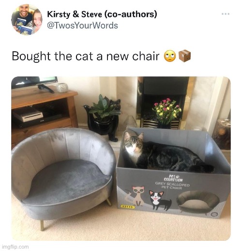 Cats | image tagged in memes | made w/ Imgflip meme maker