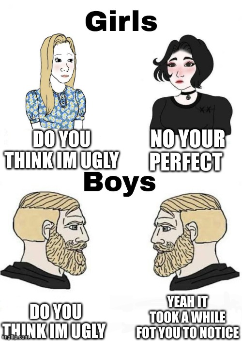 Girls vs Boys | DO YOU THINK IM UGLY; NO YOUR PERFECT; YEAH IT TOOK A WHILE FOT YOU TO NOTICE; DO YOU THINK IM UGLY | image tagged in girls vs boys | made w/ Imgflip meme maker