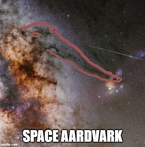 SPACE AARDVARK | made w/ Imgflip meme maker