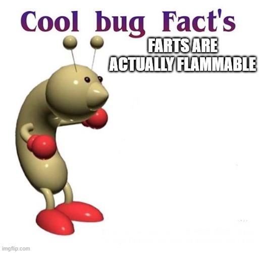 Cool Bug Facts | FARTS ARE ACTUALLY FLAMMABLE | image tagged in cool bug facts | made w/ Imgflip meme maker