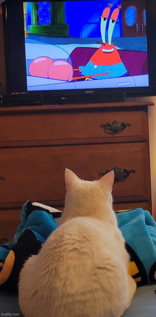 my chinese food is watching spunchbob | made w/ Imgflip meme maker