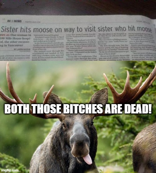 Moose-icide | BOTH THOSE BITCHES ARE DEAD! | image tagged in moose | made w/ Imgflip meme maker