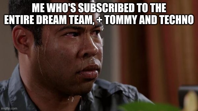 sweating bullets | ME WHO'S SUBSCRIBED TO THE ENTIRE DREAM TEAM, + TOMMY AND TECHNO | image tagged in sweating bullets | made w/ Imgflip meme maker